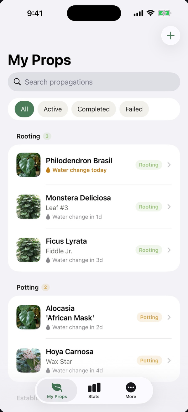 SnipLog My Props screen: cuttings grouped by stage, each with its next water change.