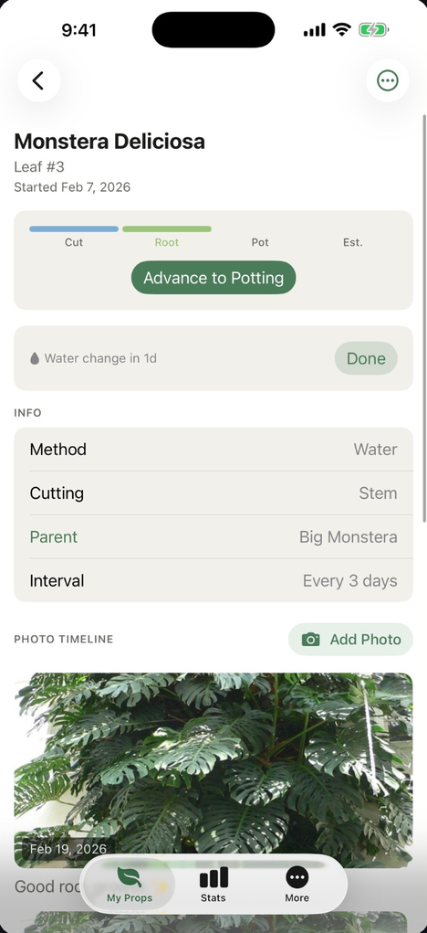 Cutting detail screen: lifecycle bar at Root, next water change, method, cutting, parent and interval, and the photo timeline.