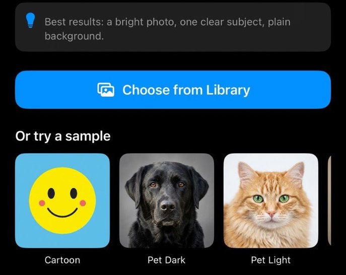 In the app: a tip reading 'Best results: a bright photo, one clear subject, plain background', a Choose from Library button, and sample photos labelled Cartoon, Pet Dark and Pet Light.